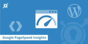 Google Pagespeed Test WordPress