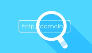 Meaning of Domain Name and How It Works