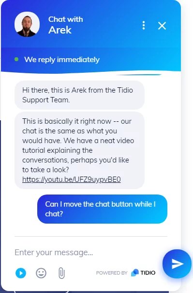 Tidio chat window