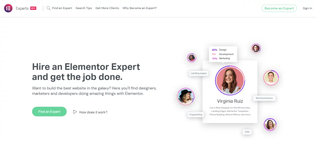 elementor expert