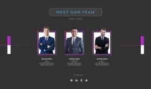 meet the team