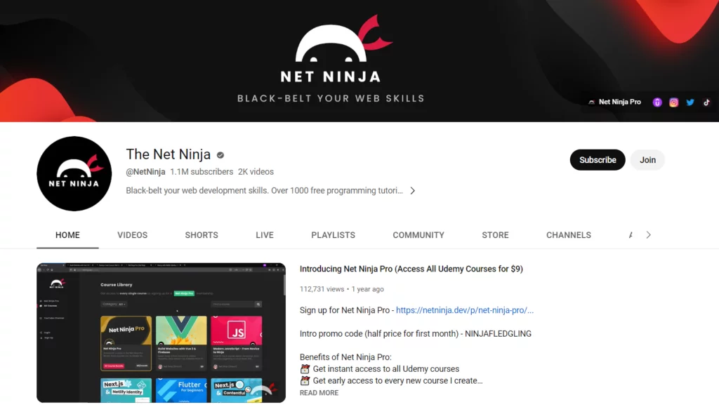 The Net Ninja